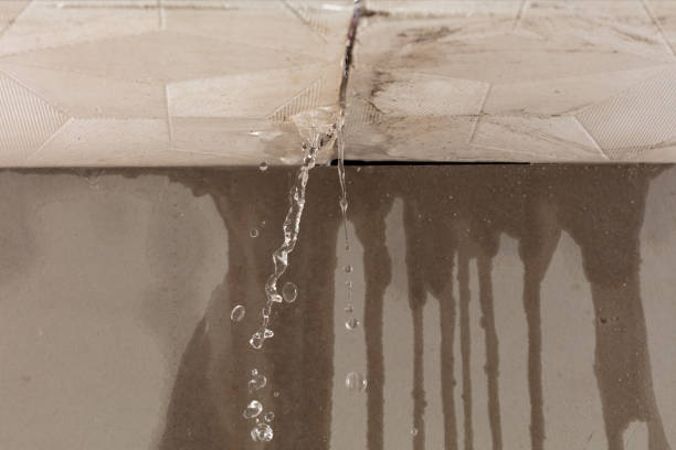 Professional Structural Drying technician working in Channahon, IL